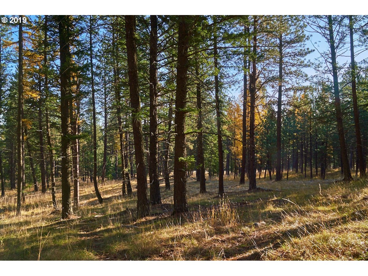 0 Scotch Creek Road Enterprise, OR 97828 - Photo 1 of 8 Gallery Image 1