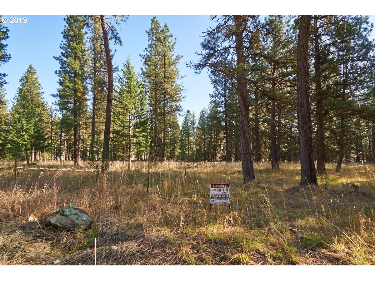 0 Scotch Creek Road Enterprise, OR 97828 - Photo 7 of 8 Gallery Image 7
