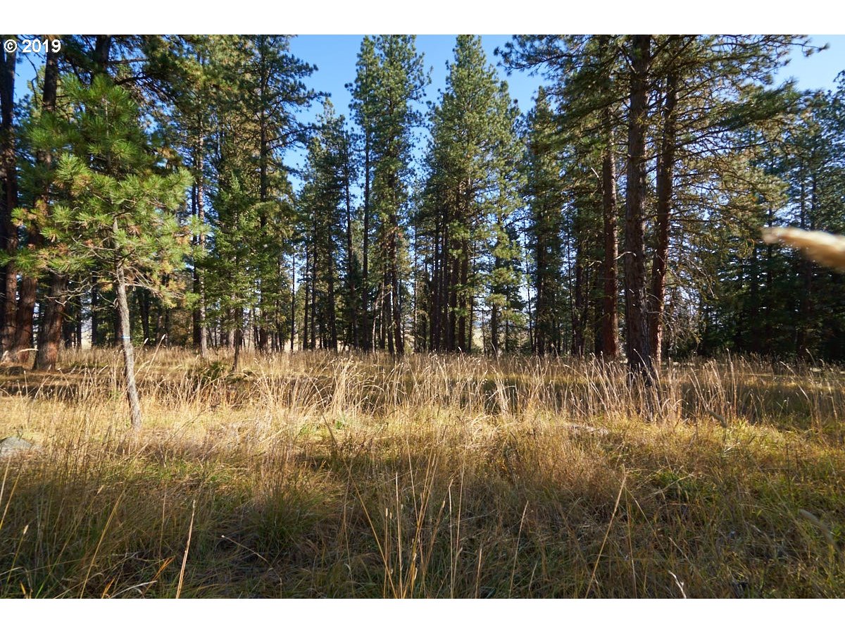 0 Scotch Creek Road Enterprise, OR 97828 - Photo 8 of 8 Gallery Image 8