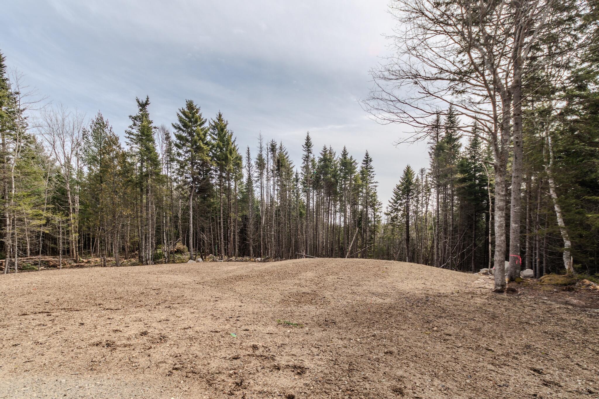 Lot #109 Stagecoach Road Machias, ME 04654 - Photo 6 of 11 Caleb Land Photo-6