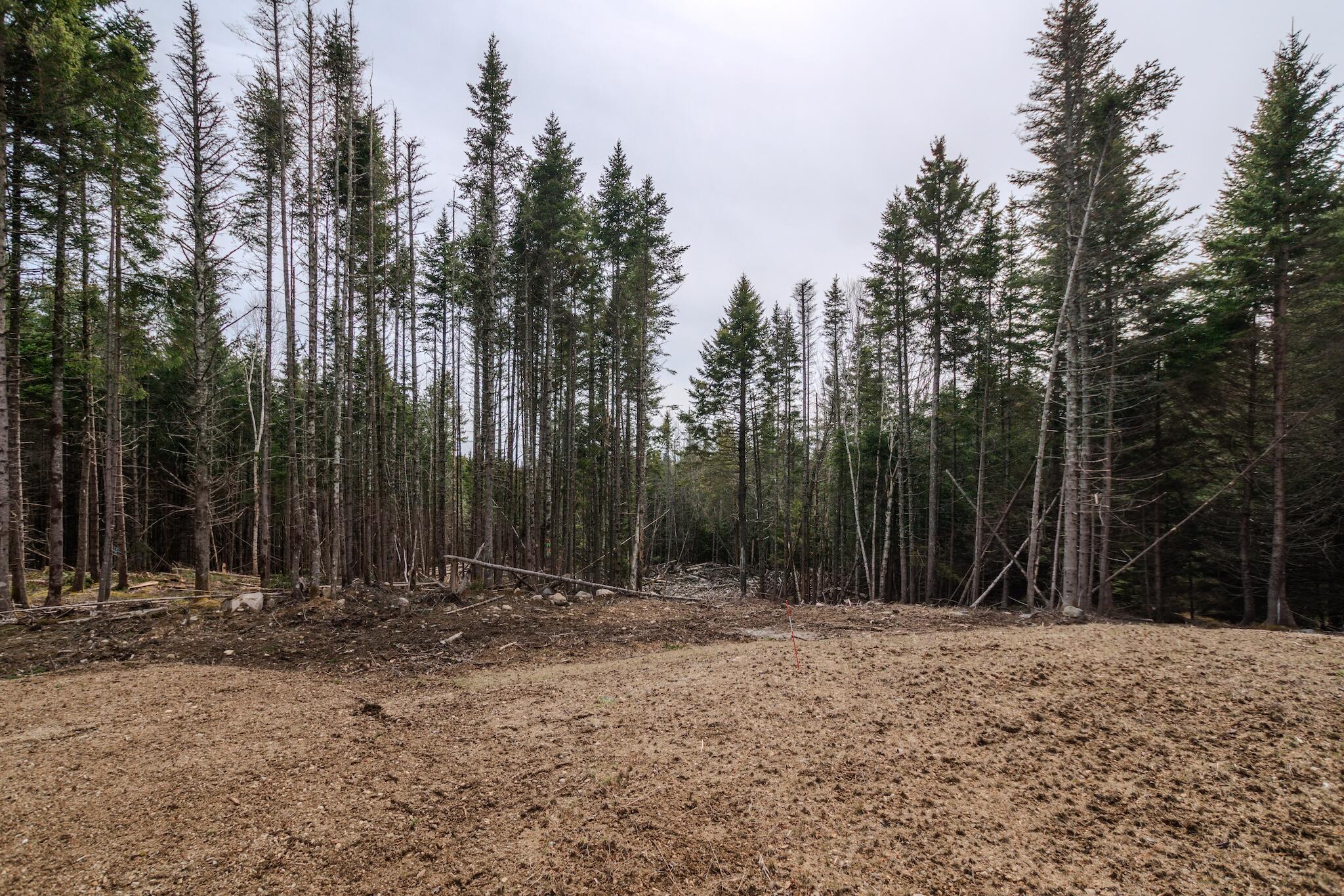 Lot #109 Stagecoach Road Machias, ME 04654 - Photo 10 of 11 Caleb Land Photo-11