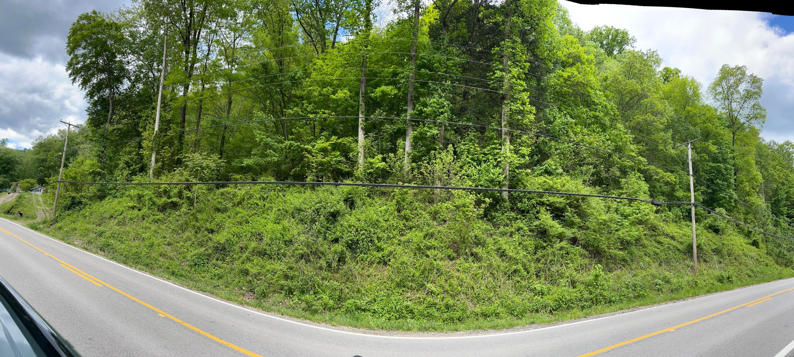 Gauley River Road Belva, WV 26656 - Photo 5 of 12 Gallery Image 5