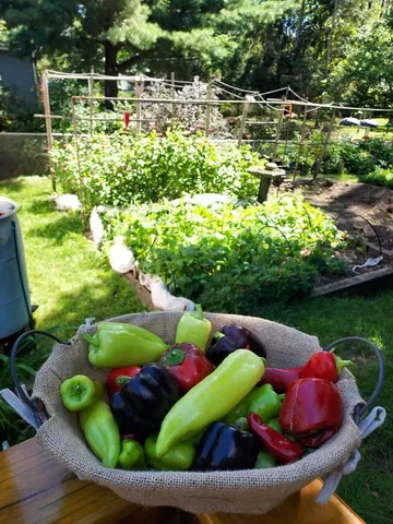 $375,000 | 548 Doris Avenue, Shoreview, MN 55126