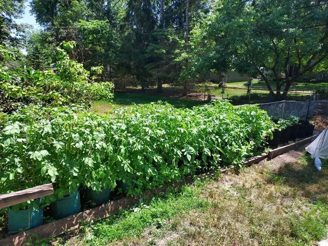 $375,000 | 548 Doris Avenue, Shoreview, MN 55126