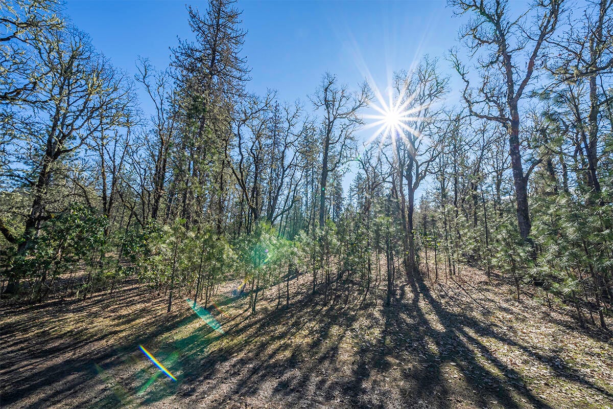 16575 Meadows Road White City, OR 97503 - Photo 43 of 46 DSC08785