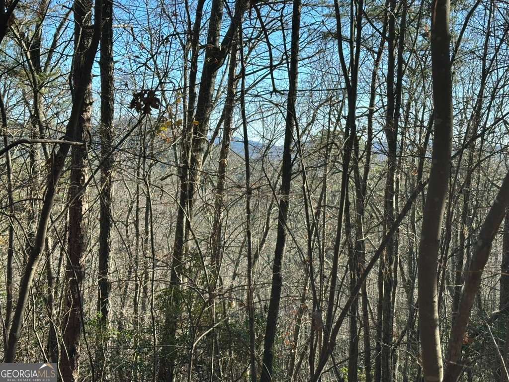 Lot 1 Gold Valley Road Sautee Nacoochee, GA 30571 - Photo 5 of 13