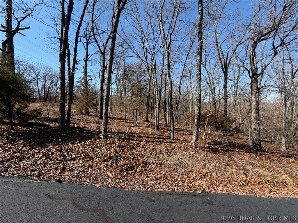 1076 Shawnee Bend Road Sunrise Beach, MO 65079 - Photo 2 of 3