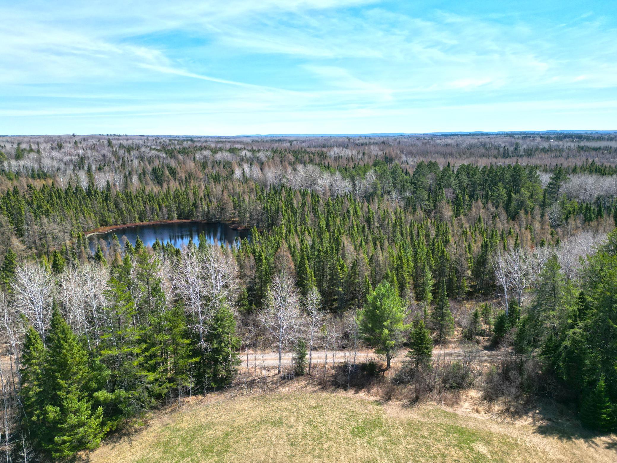 5535 Wahlsten Road Embarrass, MN 55732 - Photo 7 of 33