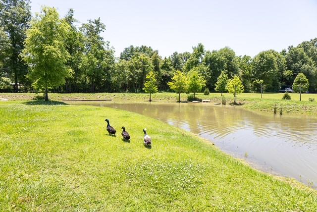 22605 Sutter Lane Zachary, LA 70791 - Photo 14 of 16