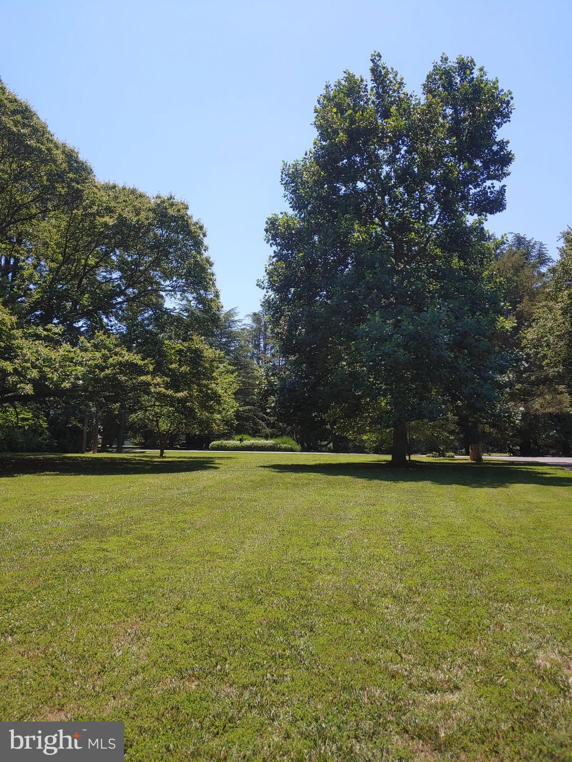 27490 Westpoint Road Easton, MD 21601 - Photo 22 of 22 Gallery Image 22