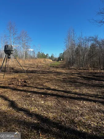 $300,000 | 0 Thaxton Road, Winterville, GA 30683