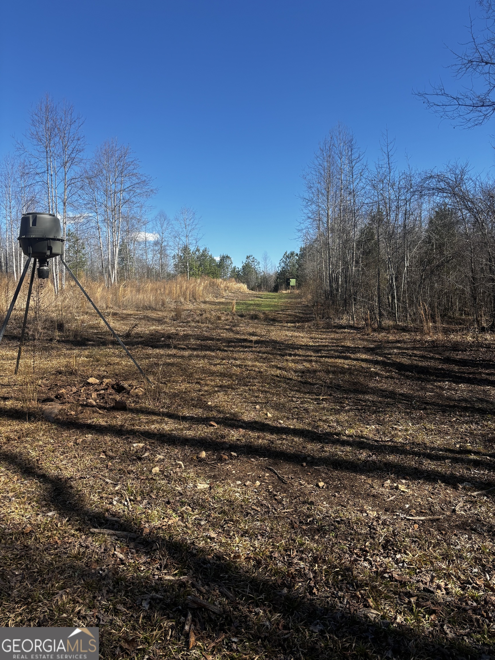 0 Thaxton Road Winterville, GA 30683 - Photo 12 of 19