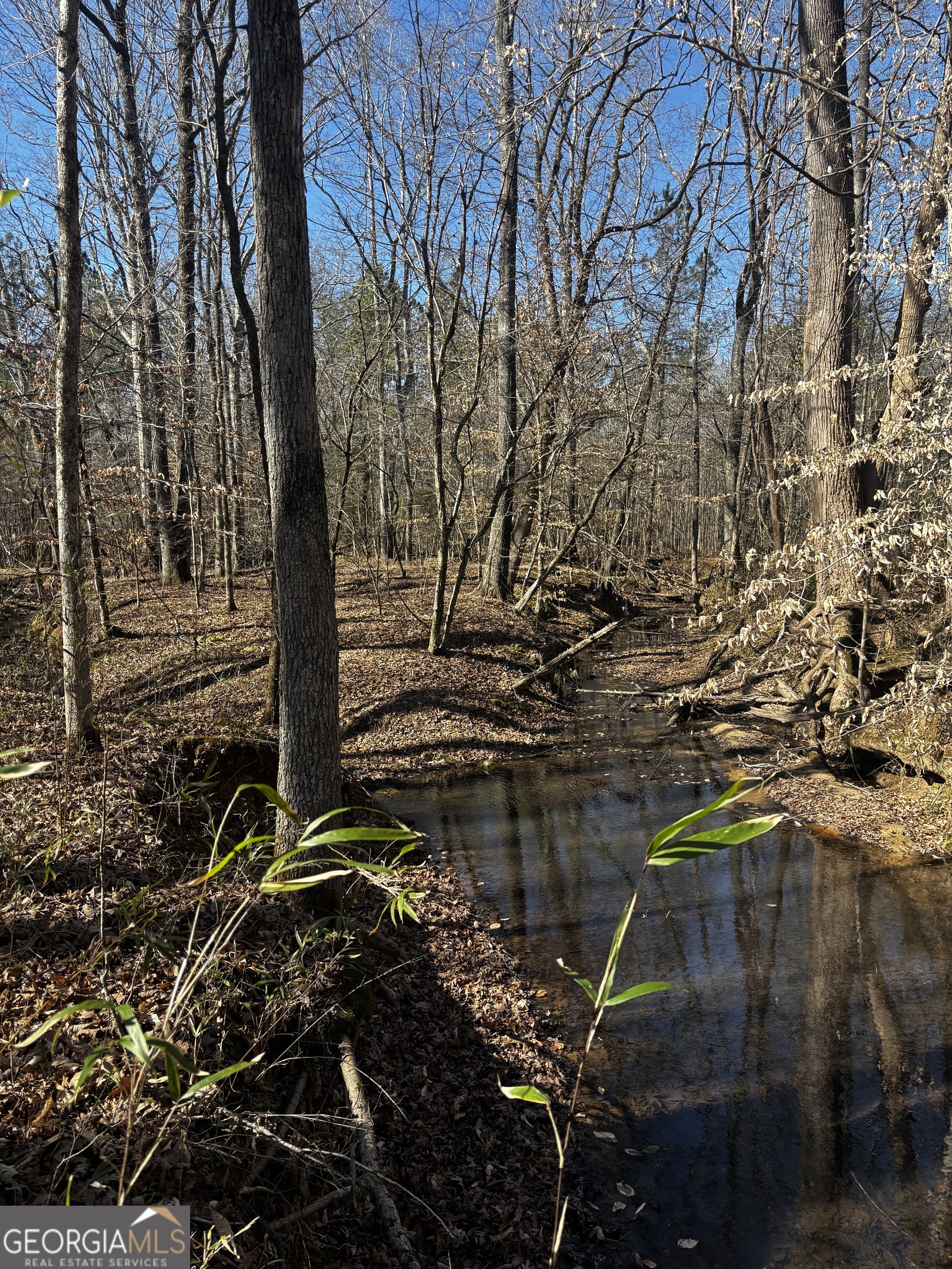 0 Thaxton Road Winterville, GA 30683 - Photo 13 of 19