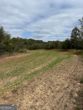 $300,000 | 0 Thaxton Road, Winterville, GA 30683