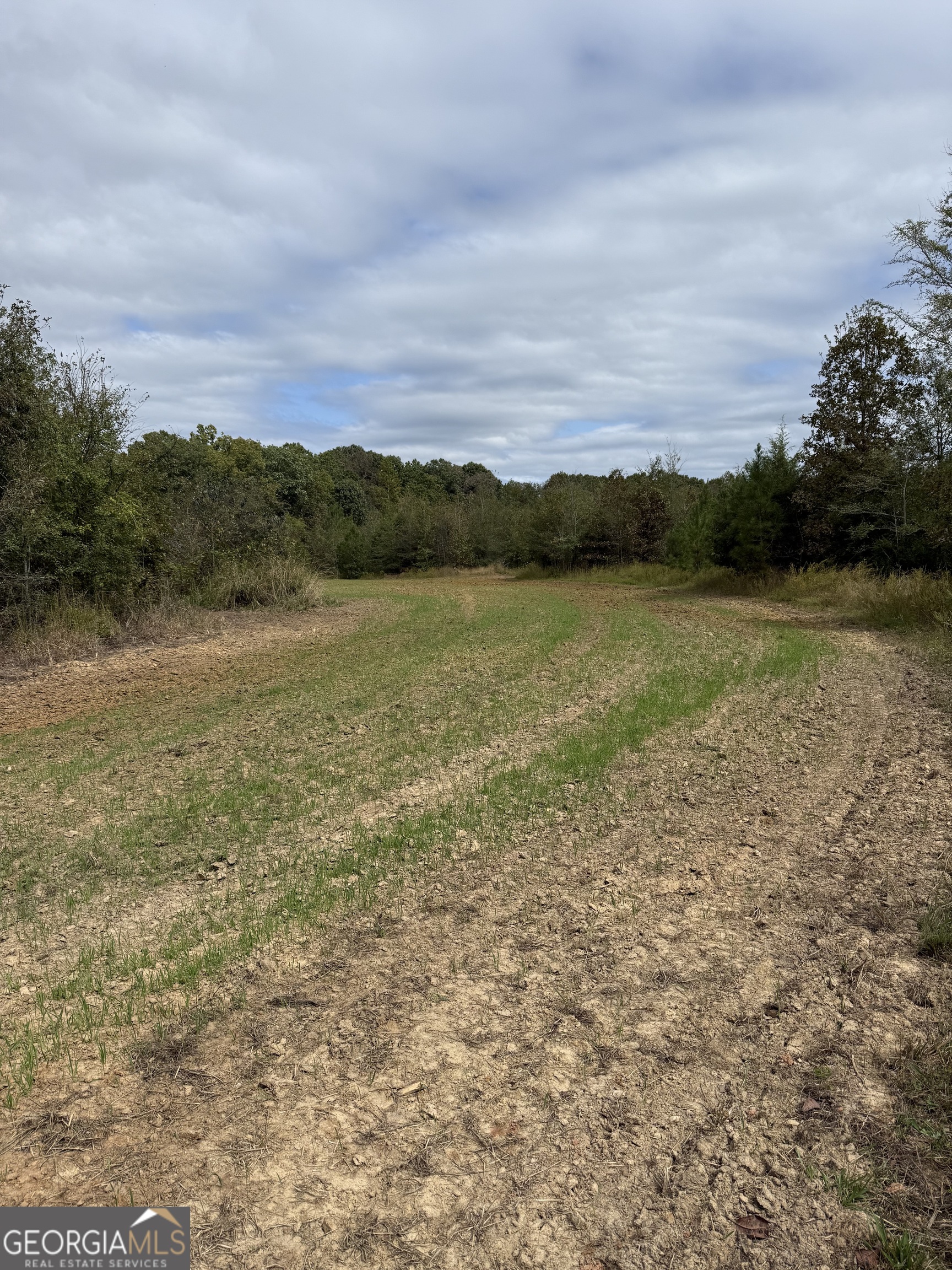 0 Thaxton Road Winterville, GA 30683 - Photo 15 of 19