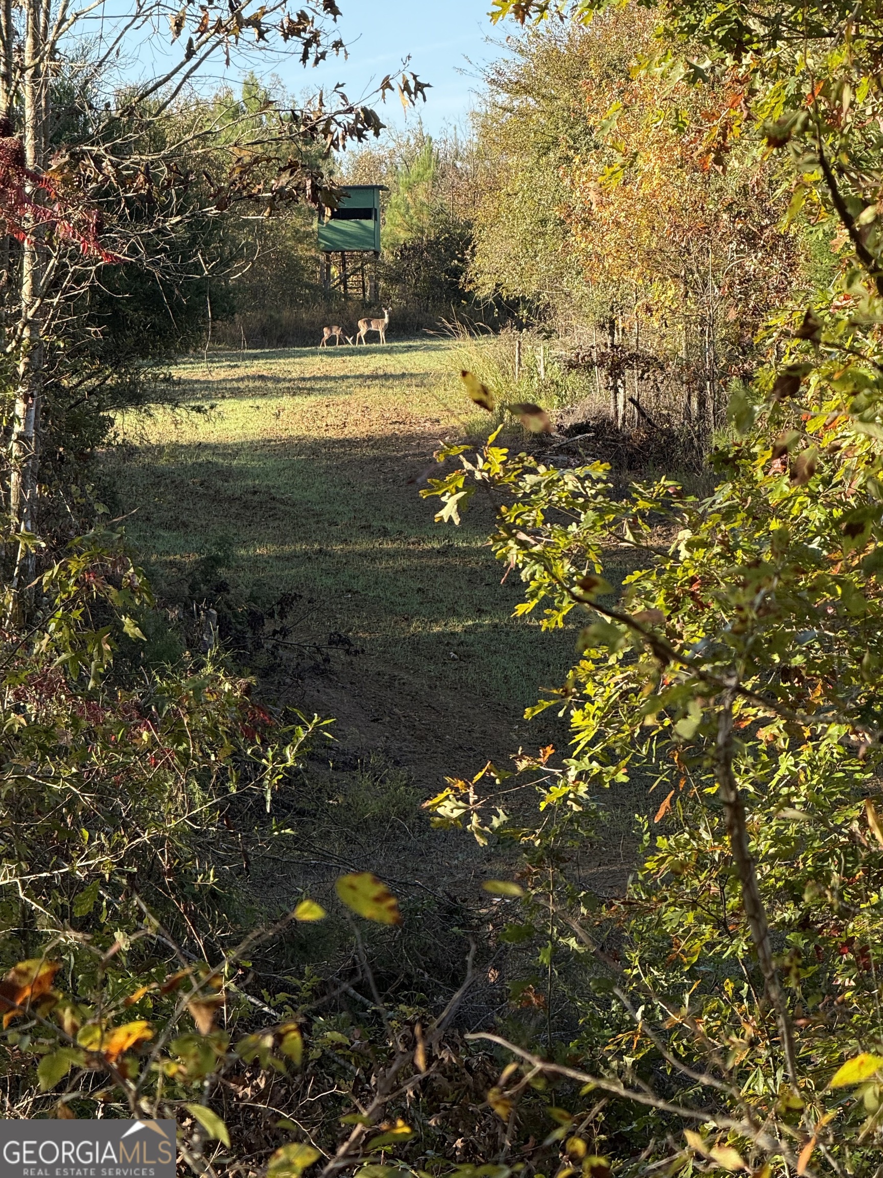 0 Thaxton Road Winterville, GA 30683 - Photo 16 of 19