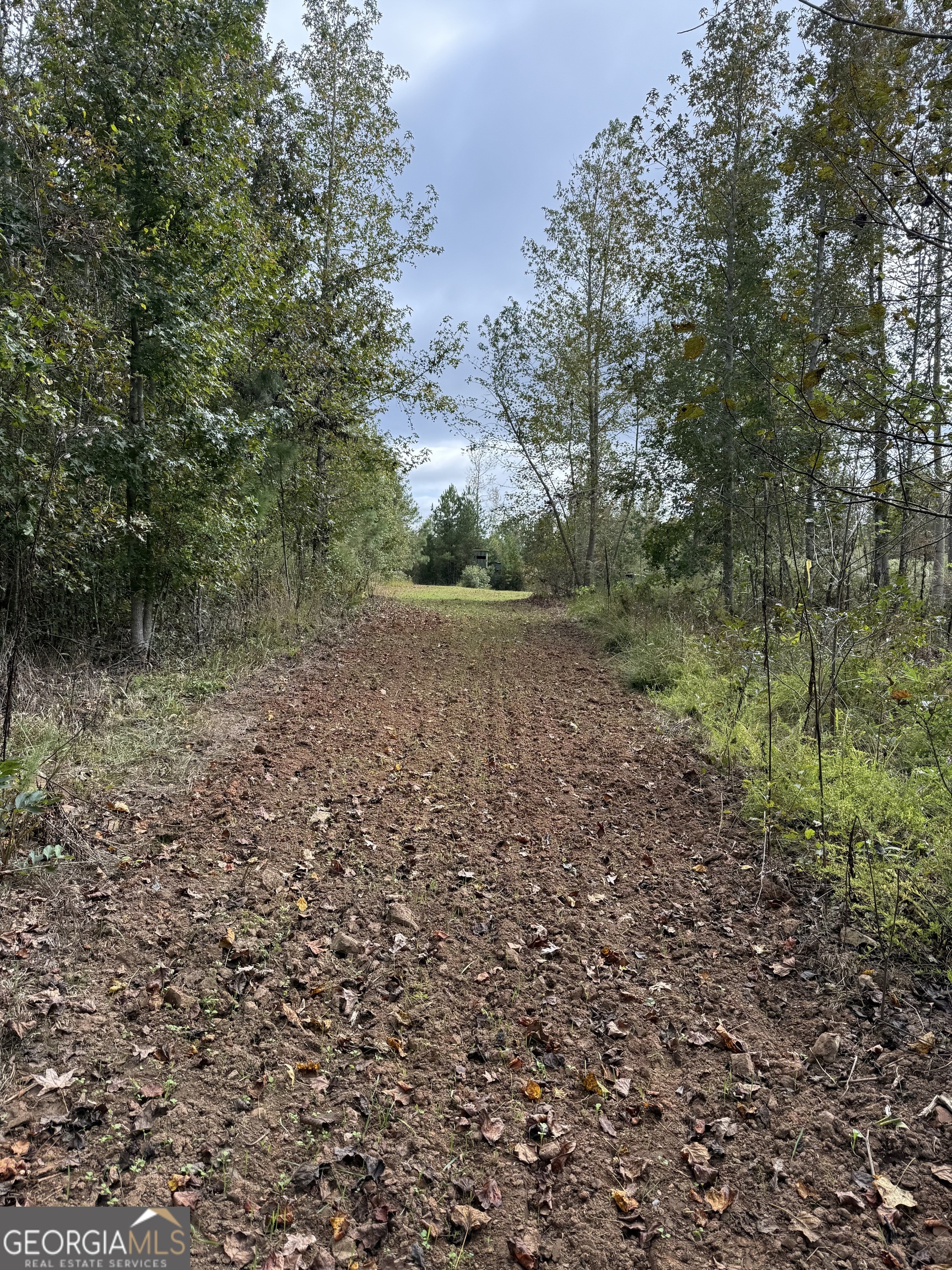 0 Thaxton Road Winterville, GA 30683 - Photo 18 of 19