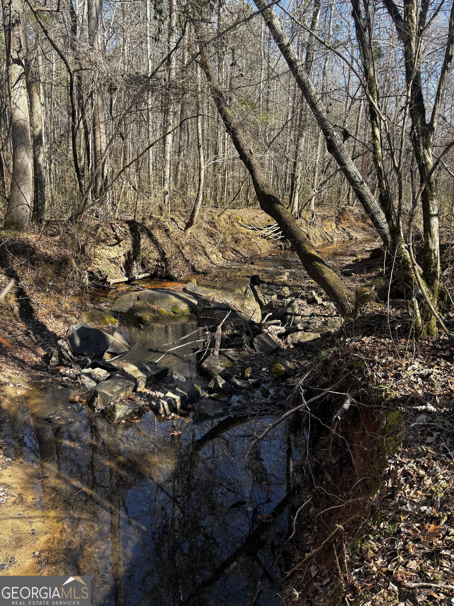 0 Thaxton Road Winterville, GA 30683 - Photo 2 of 19