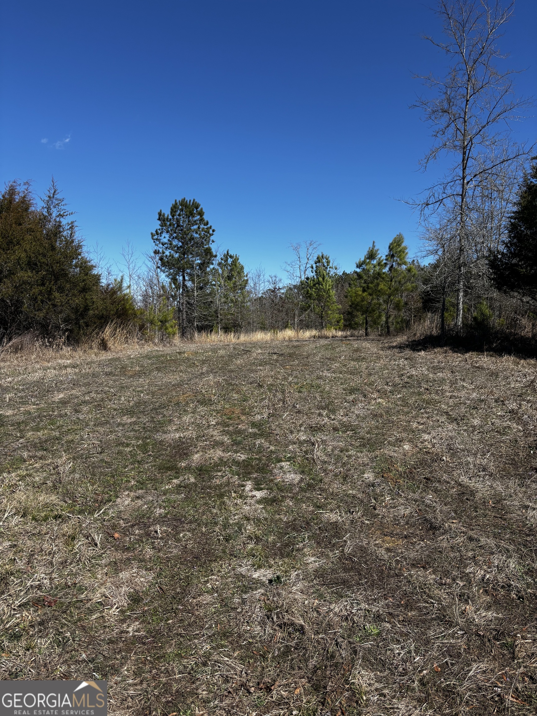 0 Thaxton Road Winterville, GA 30683 - Photo 5 of 19