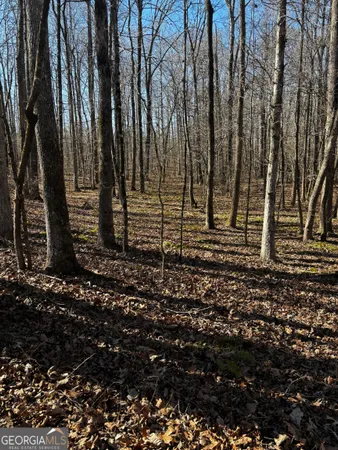 $300,000 | 0 Thaxton Road, Winterville, GA 30683