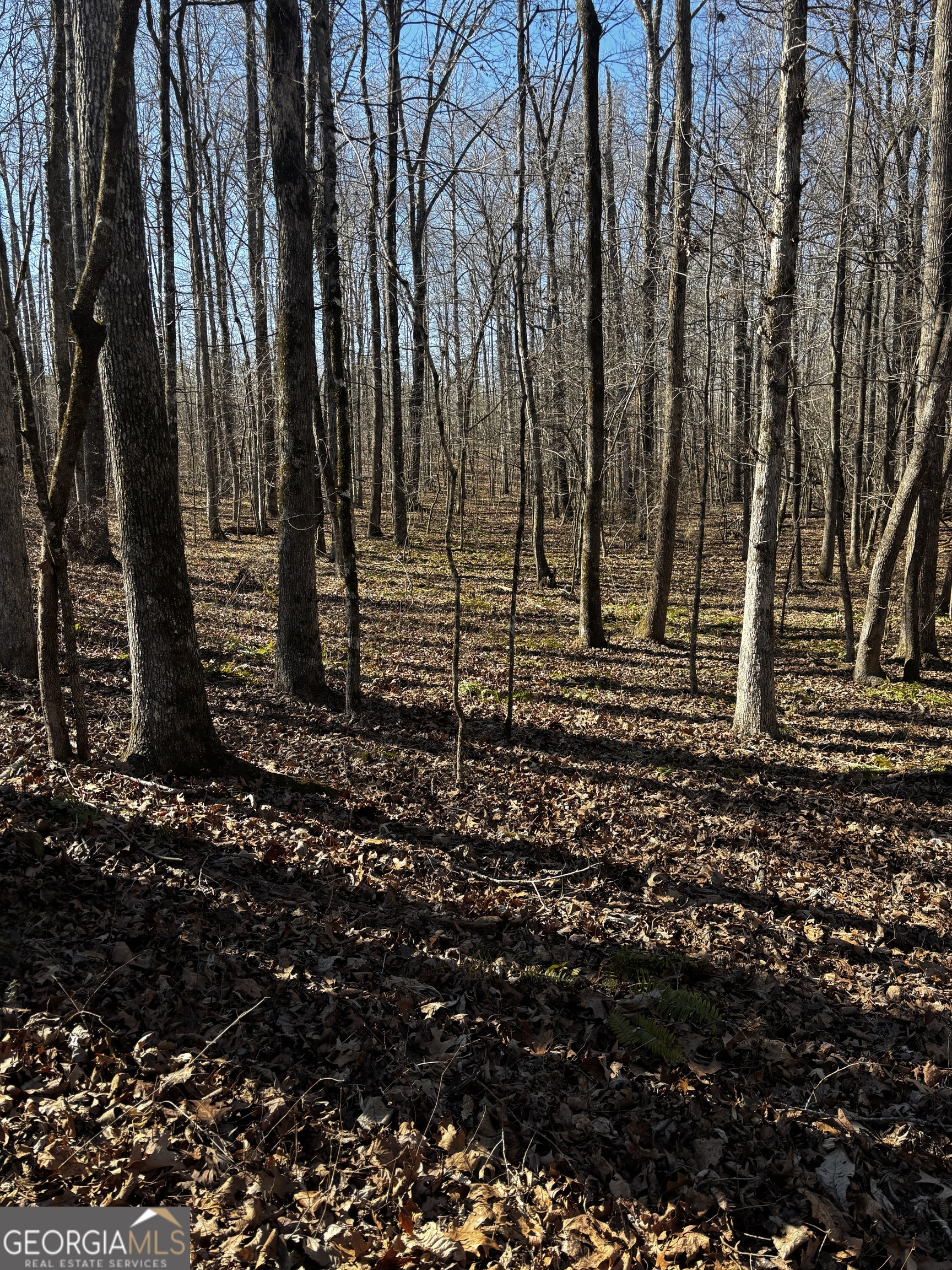 0 Thaxton Road Winterville, GA 30683 - Photo 8 of 19