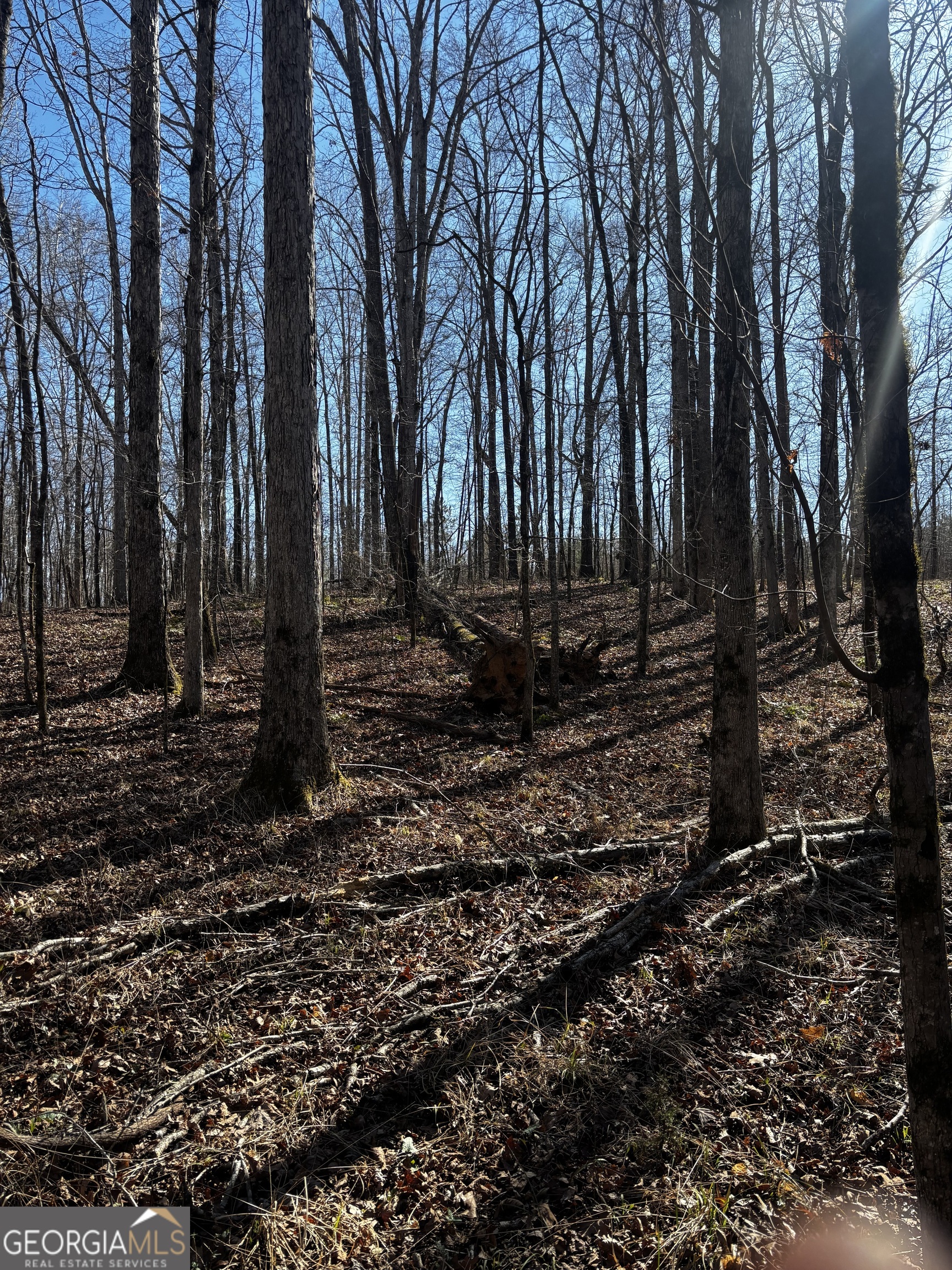 0 Thaxton Road Winterville, GA 30683 - Photo 9 of 19