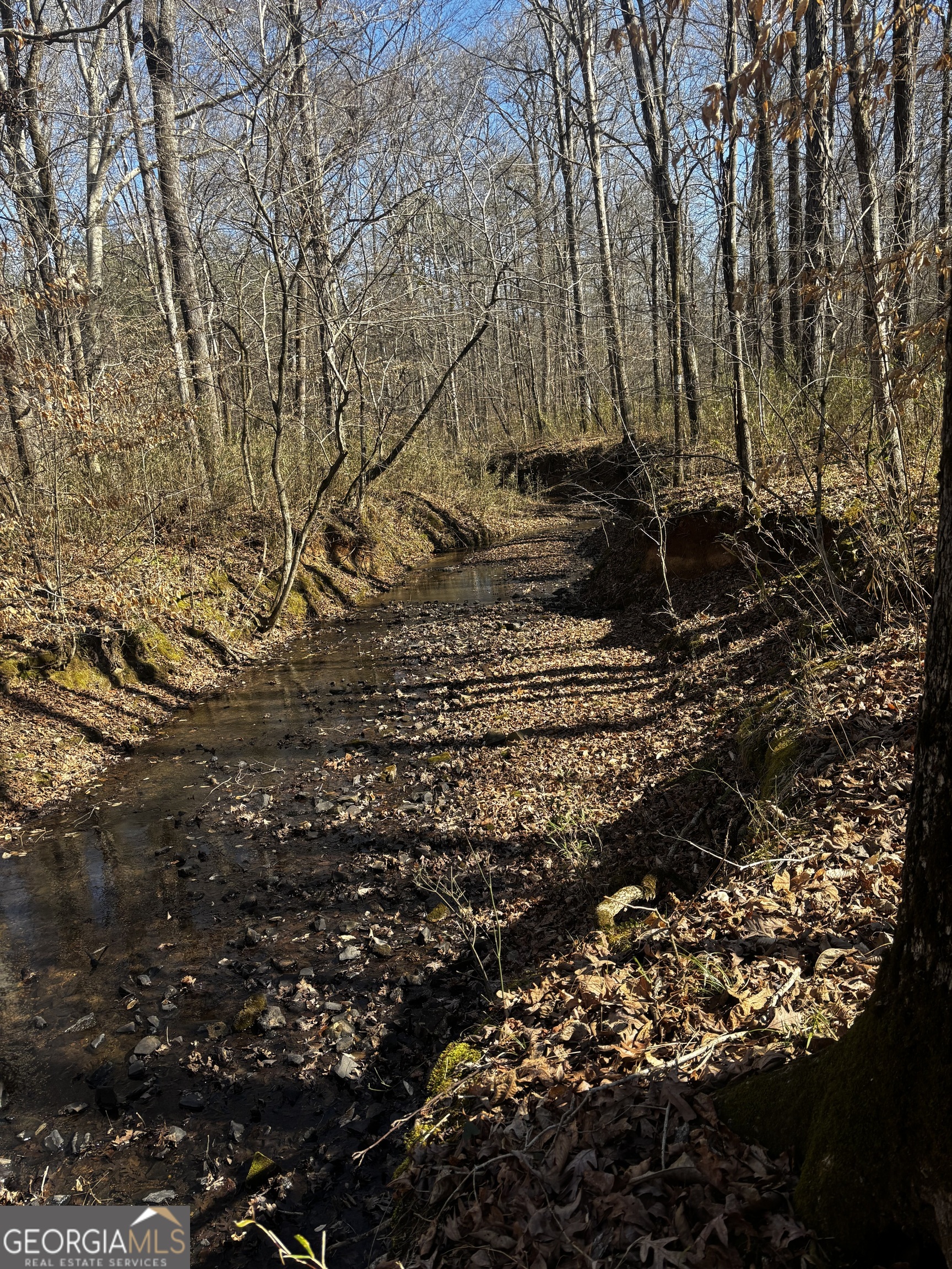 0 Thaxton Road Winterville, GA 30683 - Photo 10 of 19