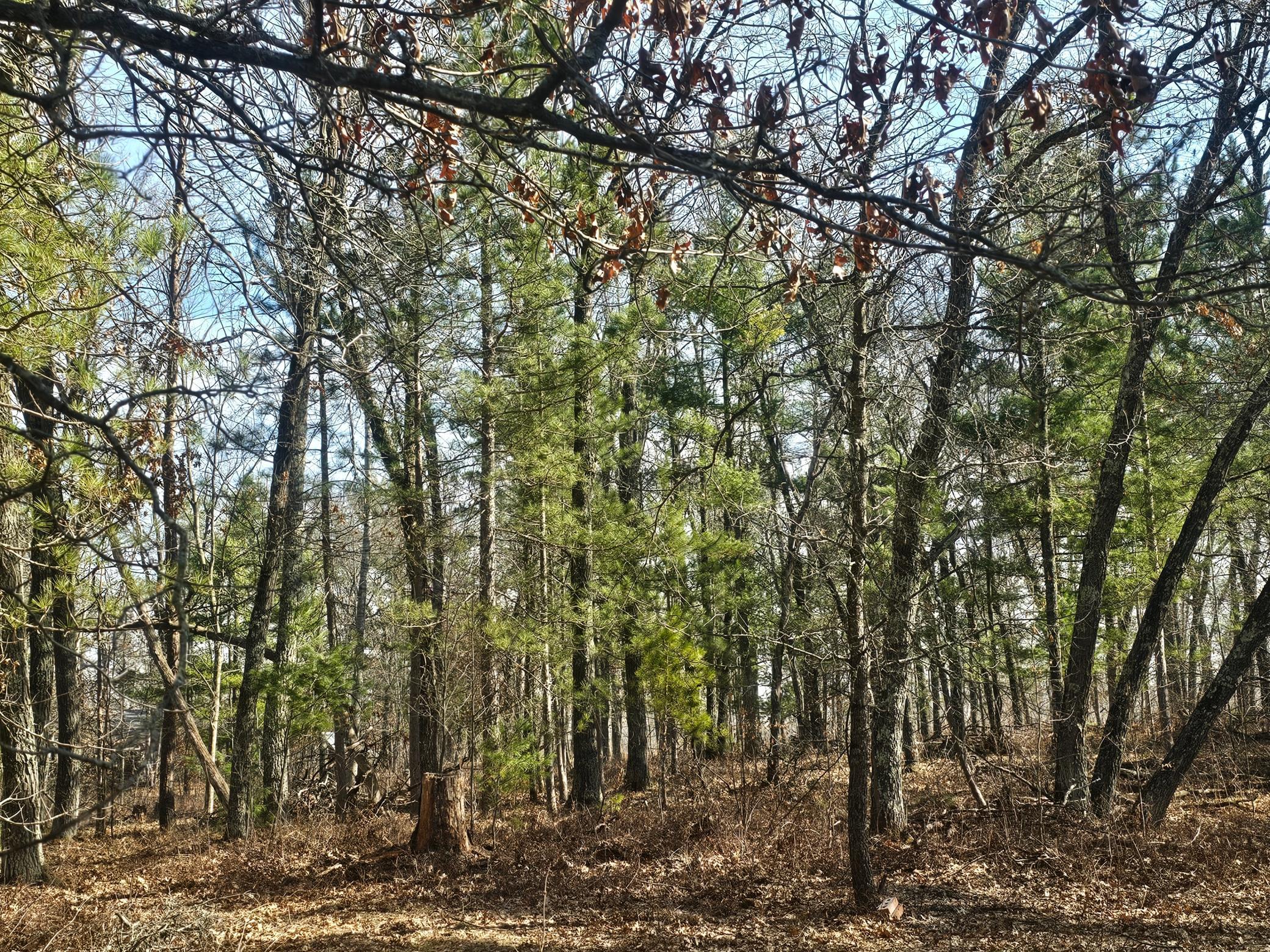 1894 South Lost Lake Road Danbury, WI 54830 - Photo 26 of 40