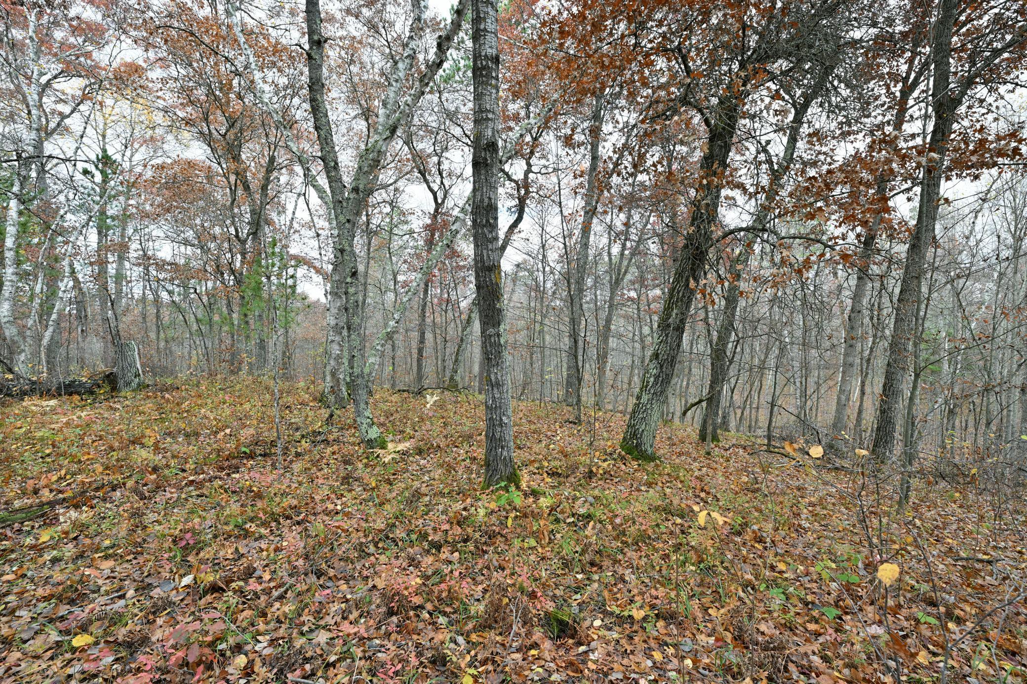 1894 South Lost Lake Road Danbury, WI 54830 - Photo 27 of 40