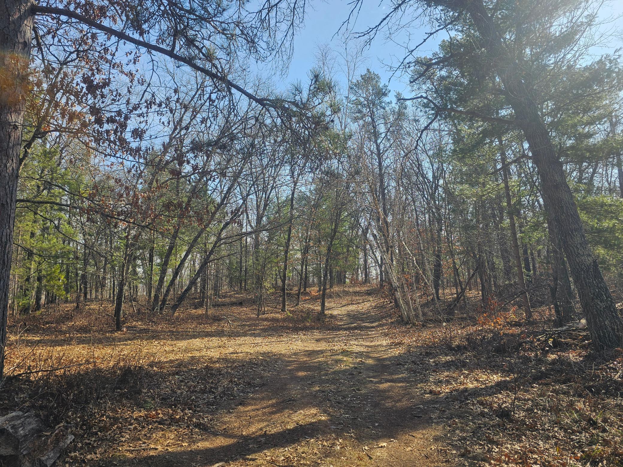 1894 South Lost Lake Road Danbury, WI 54830 - Photo 27 of 40