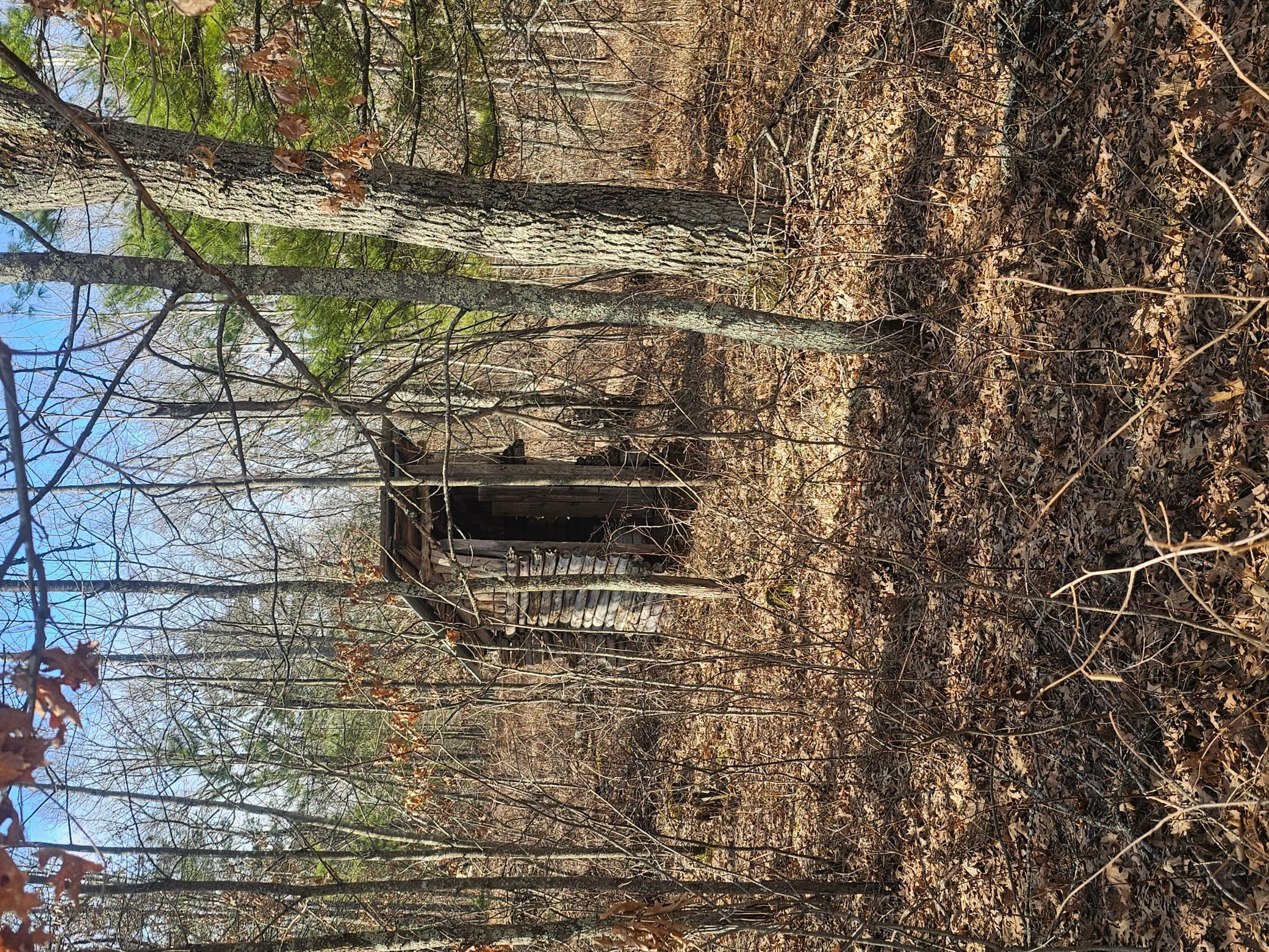 1894 South Lost Lake Road Danbury, WI 54830 - Photo 28 of 40