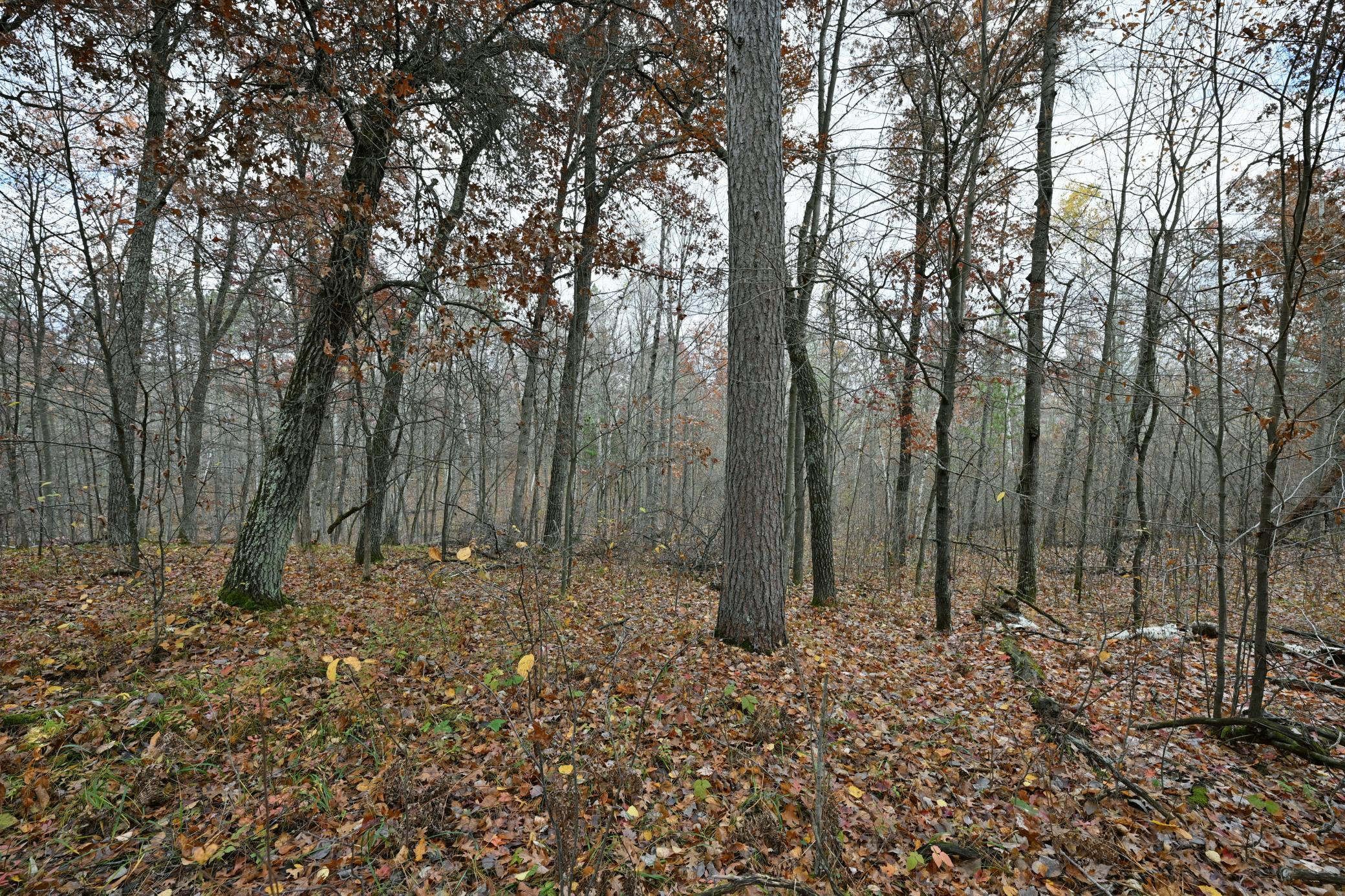 1894 South Lost Lake Road Danbury, WI 54830 - Photo 29 of 40