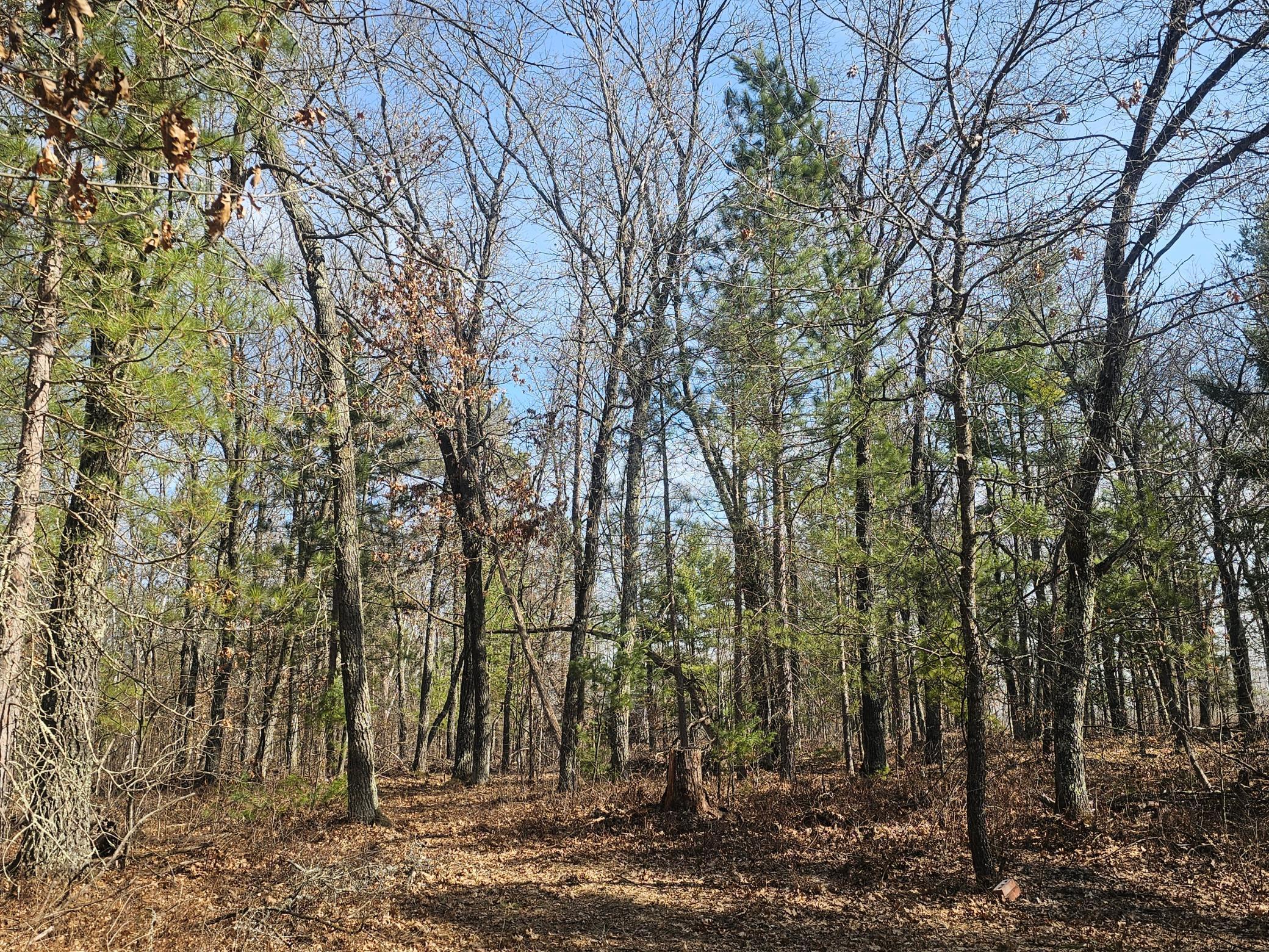 1894 South Lost Lake Road Danbury, WI 54830 - Photo 29 of 40