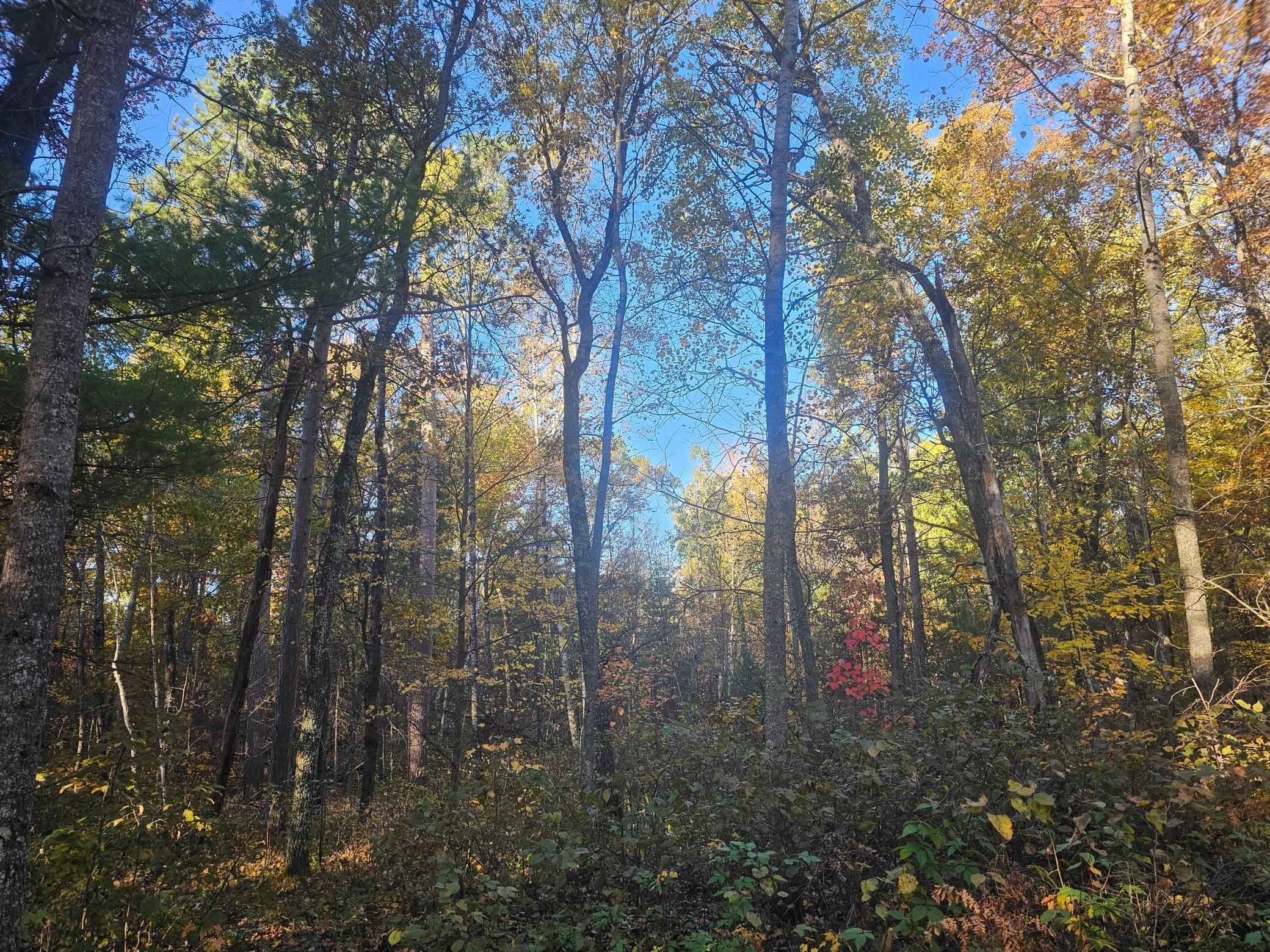 1894 South Lost Lake Road Danbury, WI 54830 - Photo 32 of 40