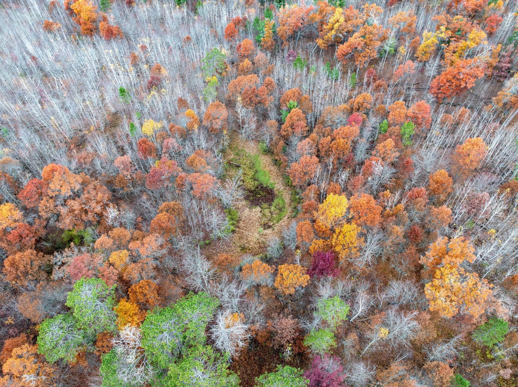 1894 South Lost Lake Road Danbury, WI 54830 - Photo 38 of 40