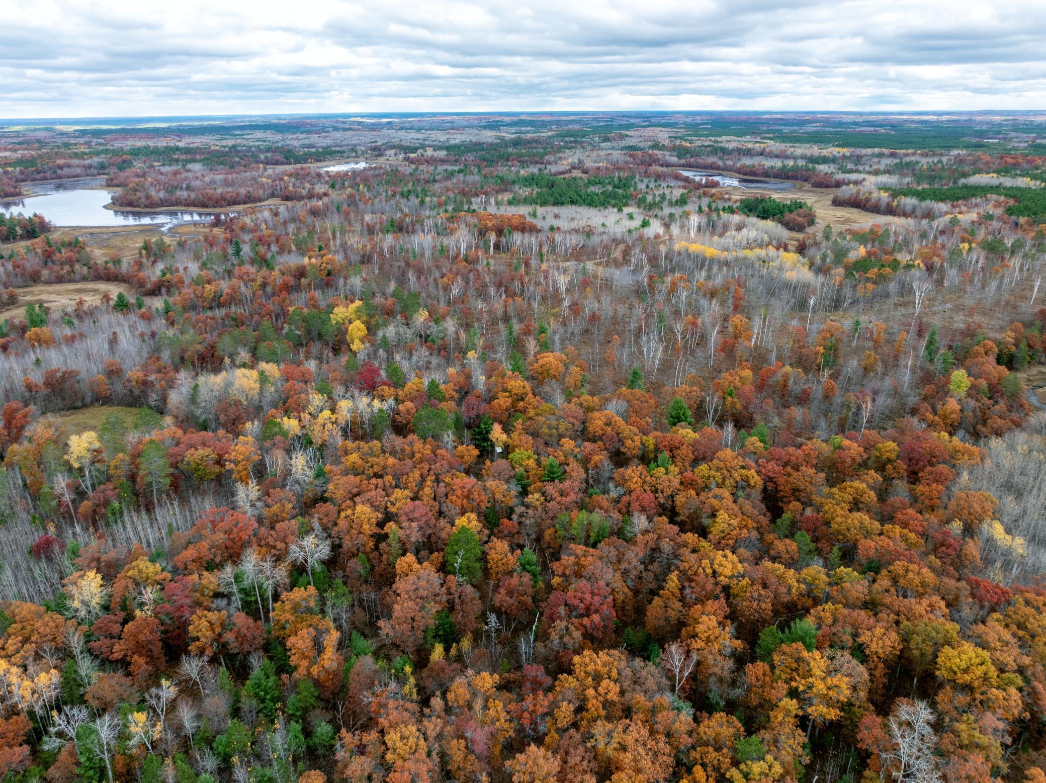 1894 South Lost Lake Road Danbury, WI 54830 - Photo 40 of 40