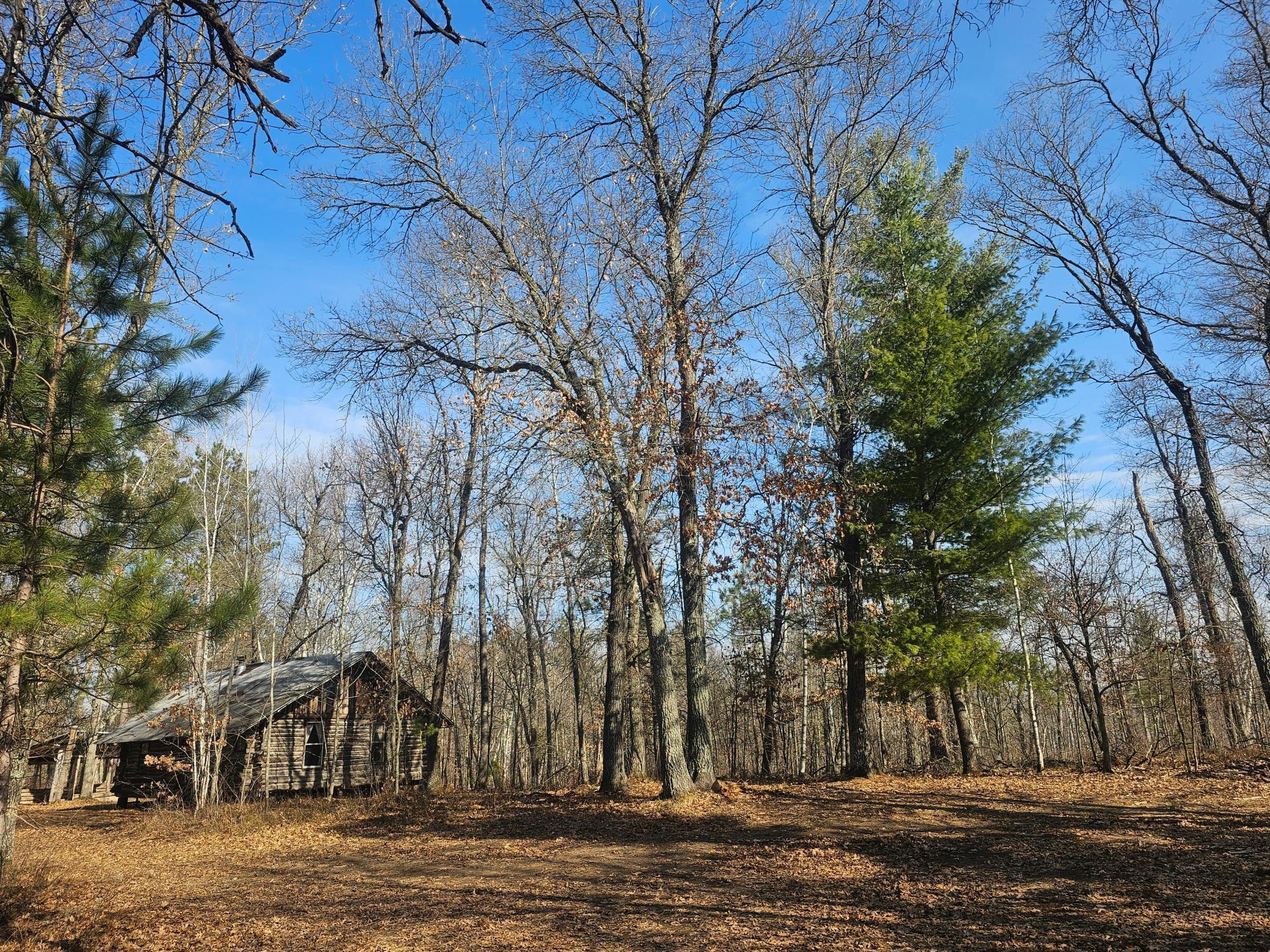 1894 South Lost Lake Road Danbury, WI 54830 - Photo 4 of 40
