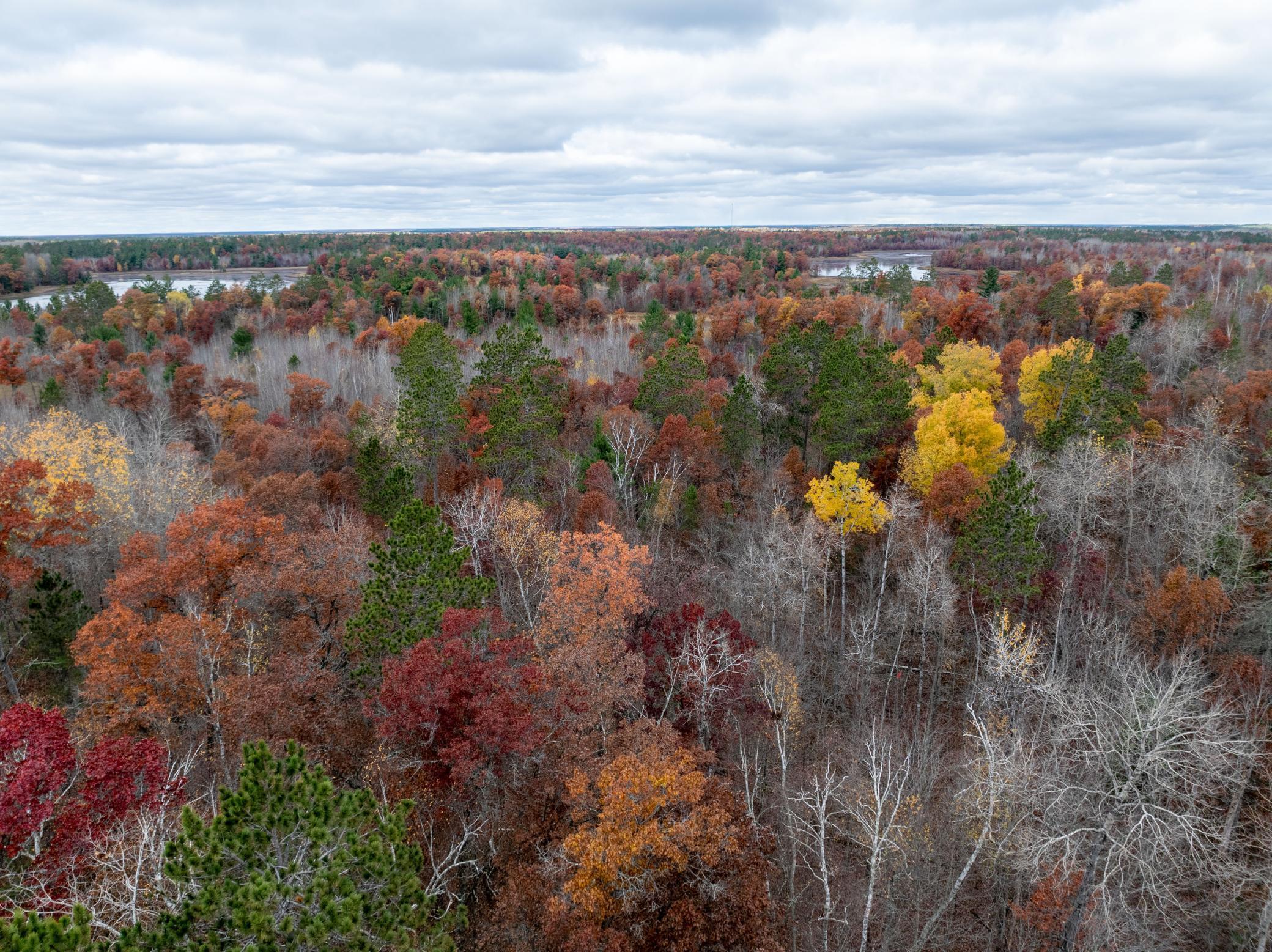 1894 South Lost Lake Road Danbury, WI 54830 - Photo 4 of 40
