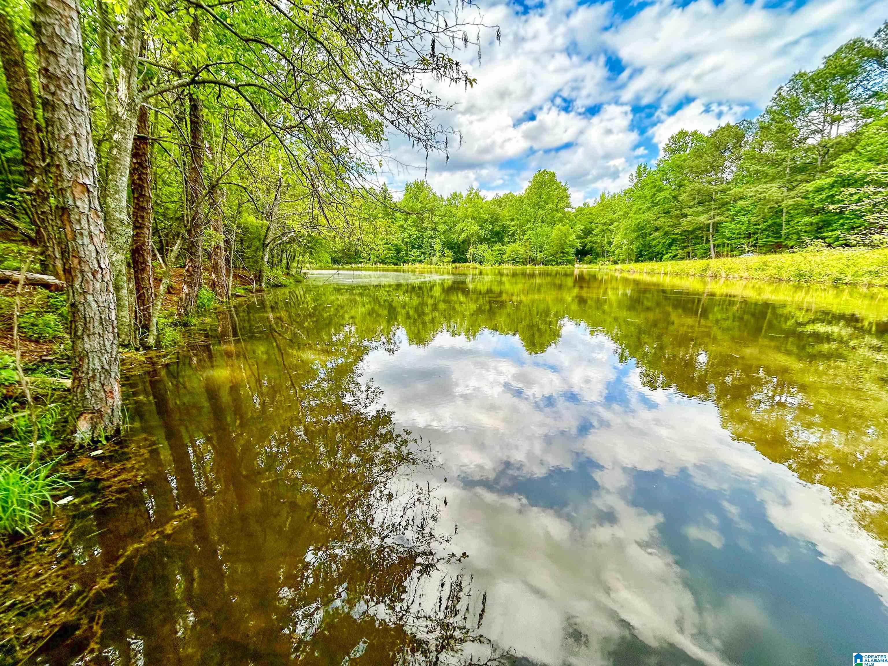 1 Old Mill Road Goodwater, AL 35072 - Photo 17 of 22