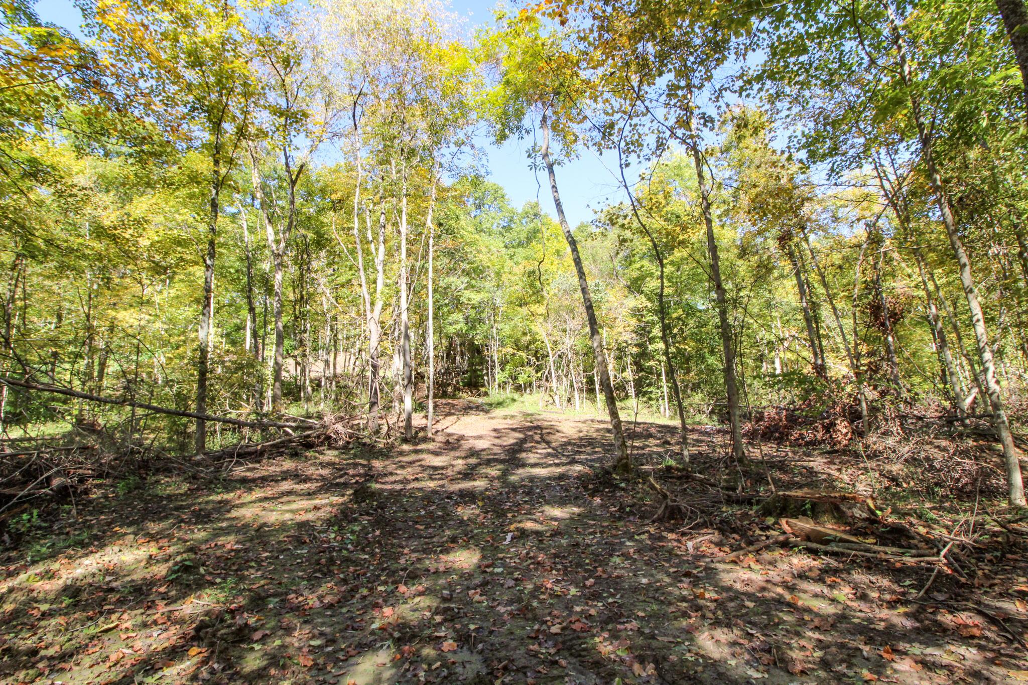0 Mud Run Road Summerfield, OH 43788 - Photo 43 of 51 IMG_5470