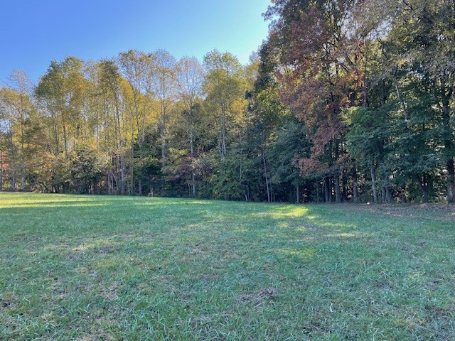 15 Riley Creek Road Normandy, TN 37360 - Photo 1 of 1 a view of outdoor space and yard