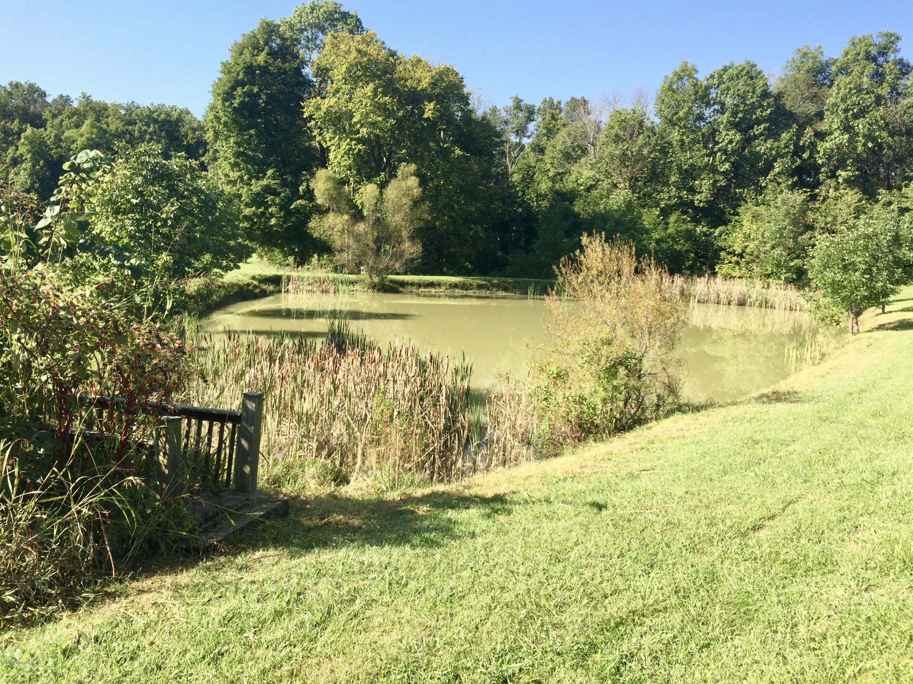402 Williams Road Louisville, KY 40299 - Photo 18 of 23 fullsizeoutput_94c8