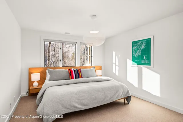 $40,000 | 449 Mountain Laurel Drive, Unit 4, Aspen, CO 81611