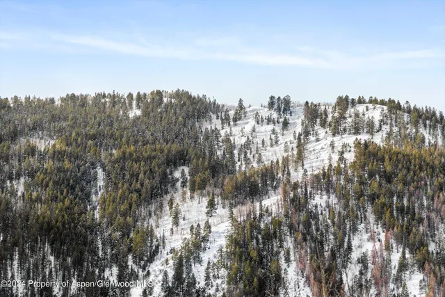 $40,000 | 449 Mountain Laurel Drive, Unit 4, Aspen, CO 81611