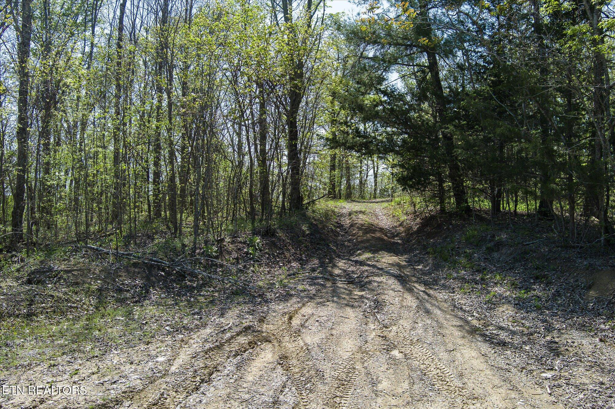 12.2 Ac Road Sparta, TN 38583 - Photo 1 of 10 01-Firetower Rd Sparta