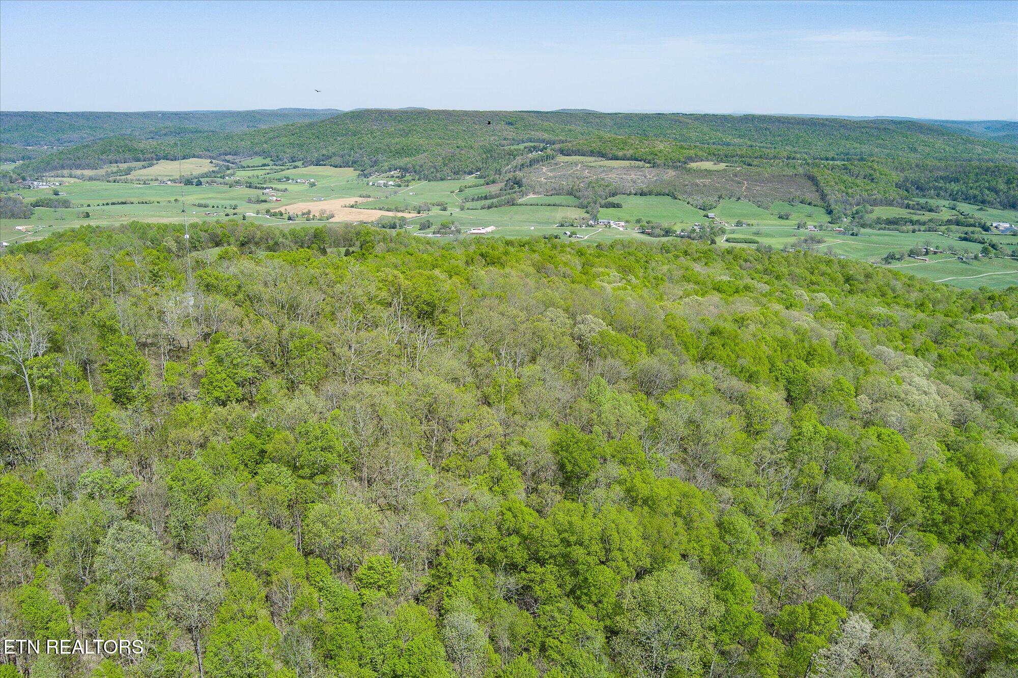 12.2 Ac Road Sparta, TN 38583 - Photo 3 of 10 03-Firetower Rd Sparta