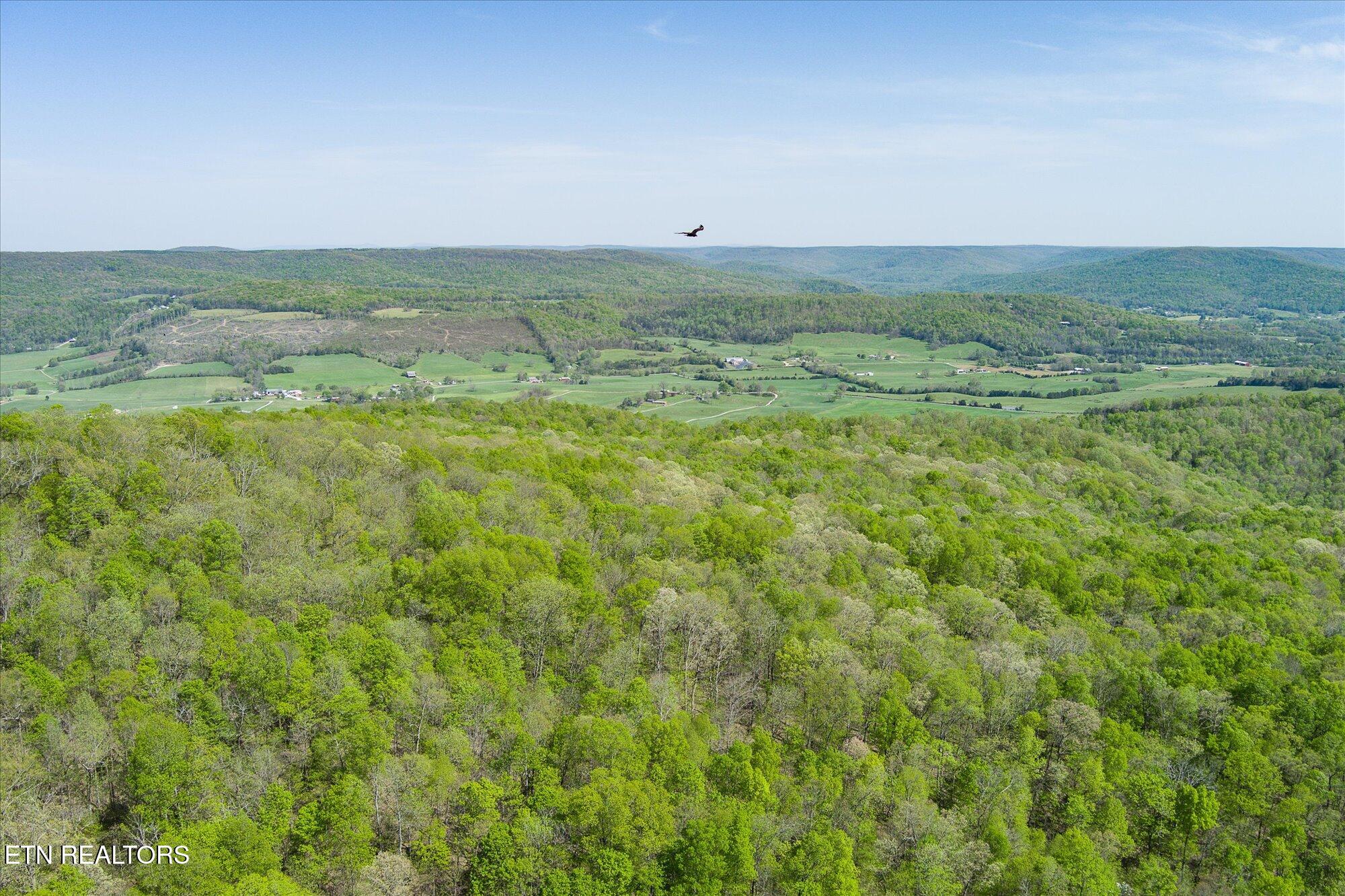 12.2 Ac Road Sparta, TN 38583 - Photo 4 of 10 04-Firetower Rd Sparta
