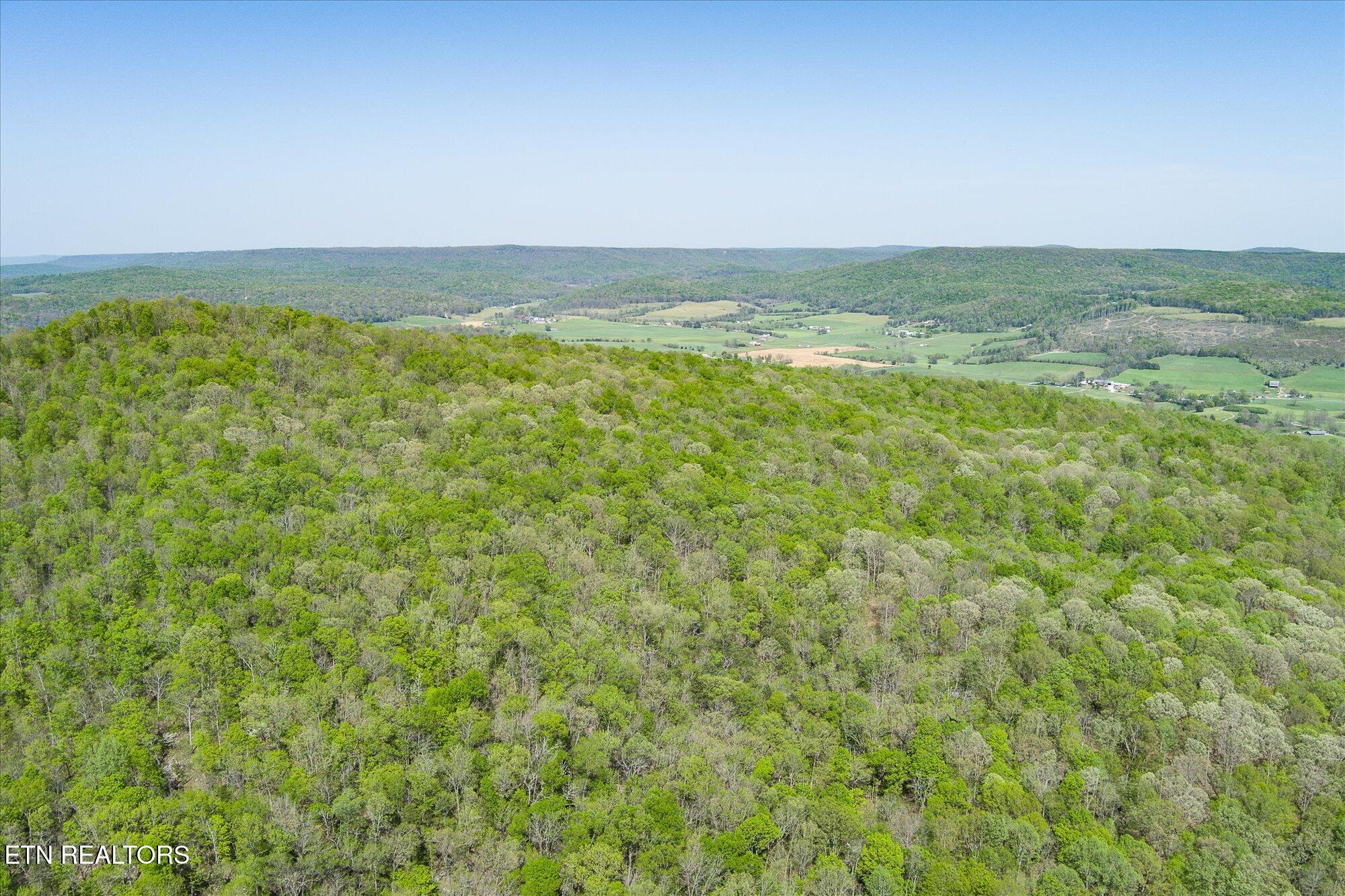 12.2 Ac Road Sparta, TN 38583 - Photo 6 of 10 06-Firetower Rd Sparta