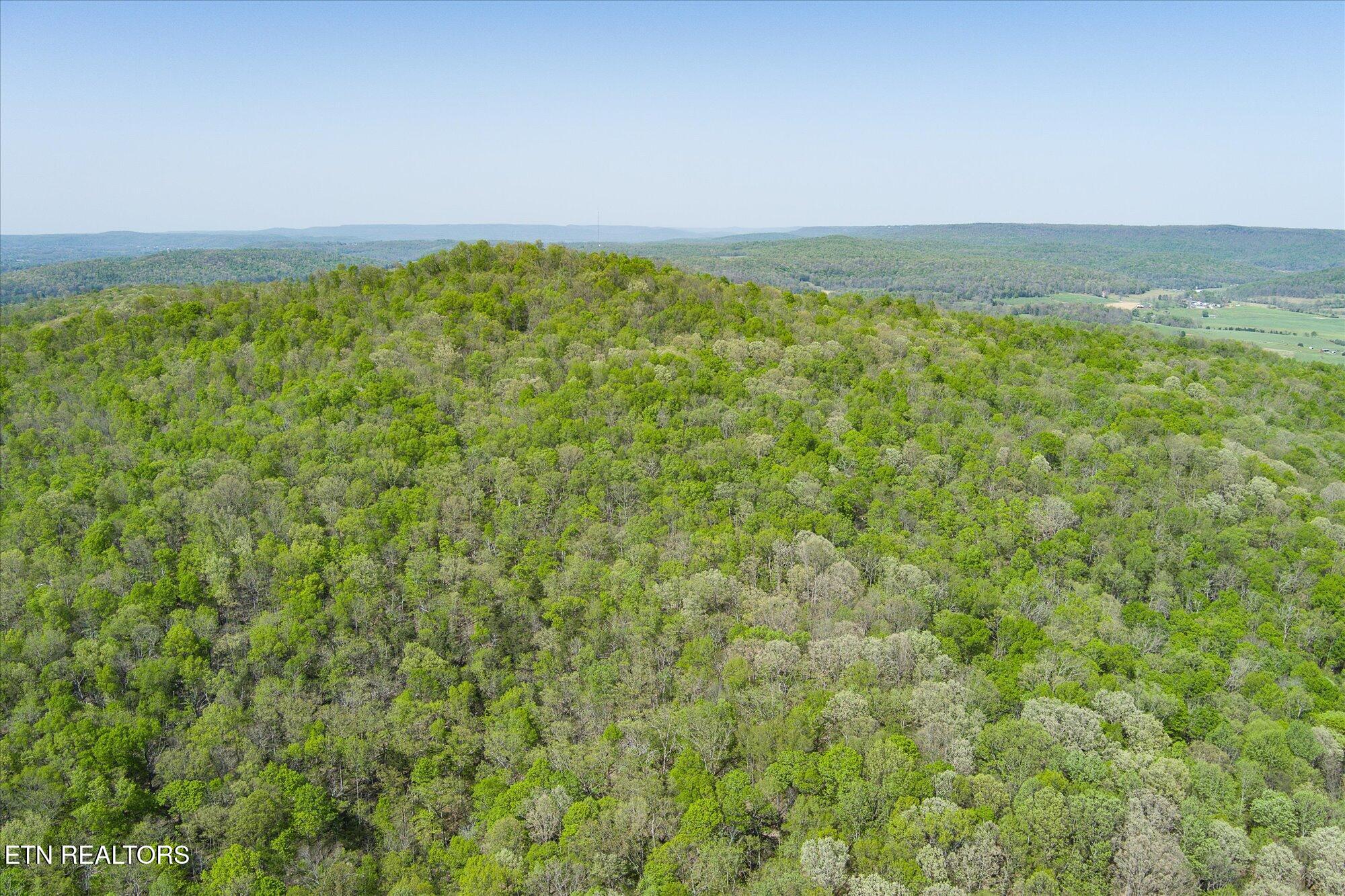 12.2 Ac Road Sparta, TN 38583 - Photo 7 of 10 07-Firetower Rd Sparta