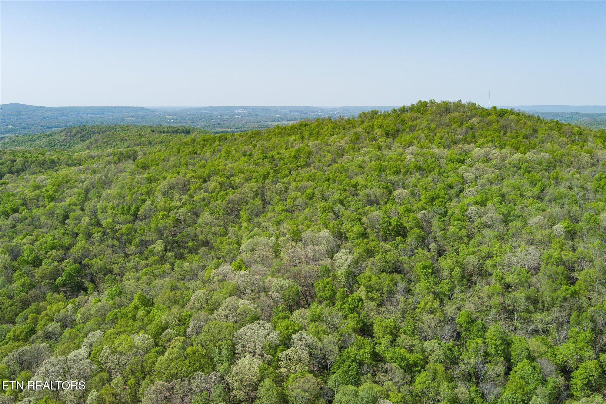12.2 Ac Road Sparta, TN 38583 - Photo 8 of 10 08-Firetower Rd Sparta
